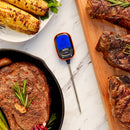 Instant Grilling Thermometer | Mr. Bar-B-Q