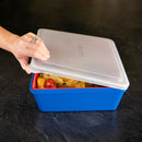 Mr.Bar-B-Q The Marinator