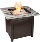 Endless Summer 30 in. “The Duvall” LP Gas Outdoor Fire Pit