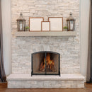 Single Panel Black Wrought Iron Screen with Doors | UniFlame